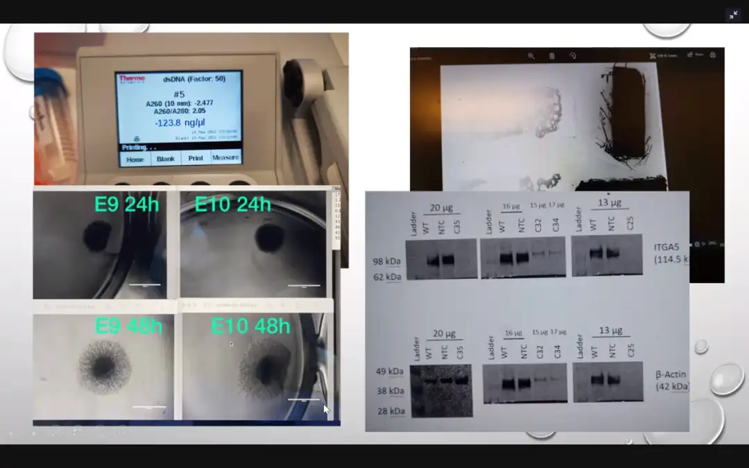 帝国理工夏校医学课堂纪实---来自北京王府学校李在田同学的超详实记录