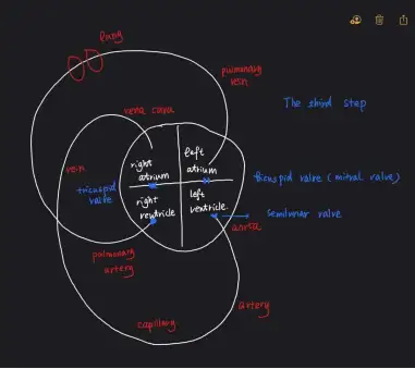 干货分享 | 国际生物的学习方法（超赞！）