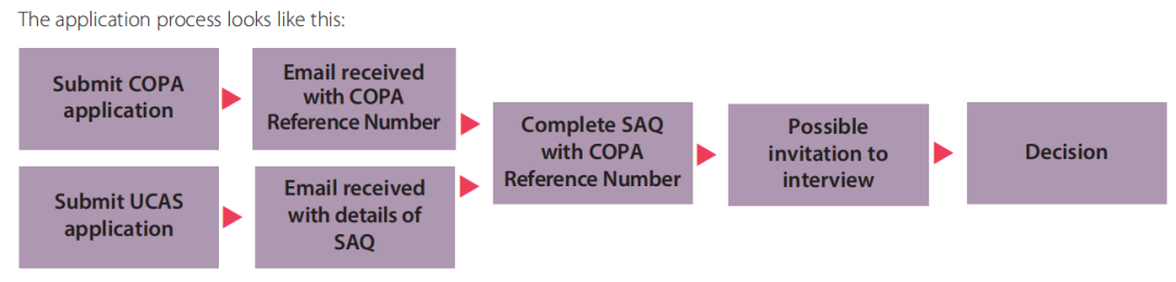 申请流程 | COPA及SAQ系统使用指南