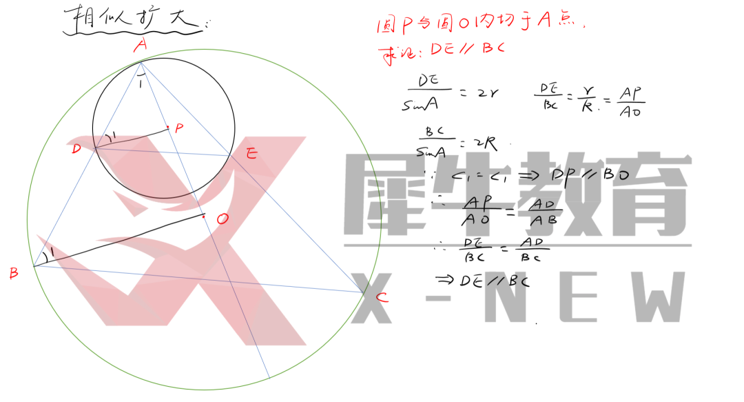 【独家发布】机构干货！AIME考前点拨（一）