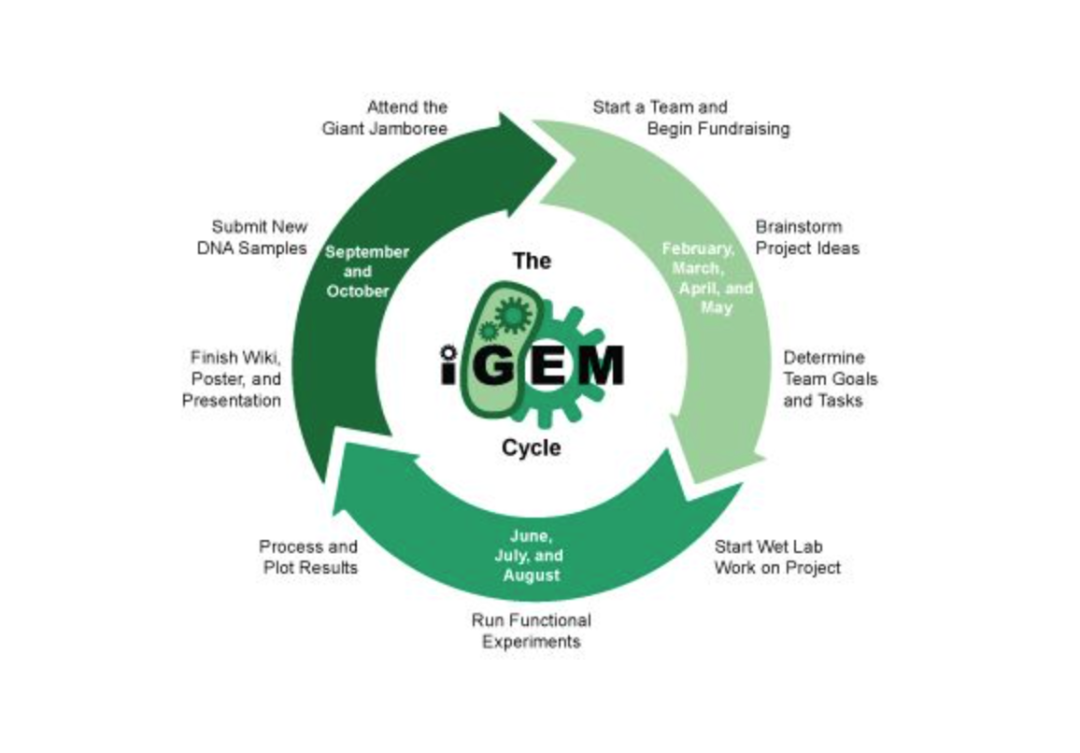 活动精选｜iGEM国际基因工程机器竞赛——合成生物学竞赛的王者