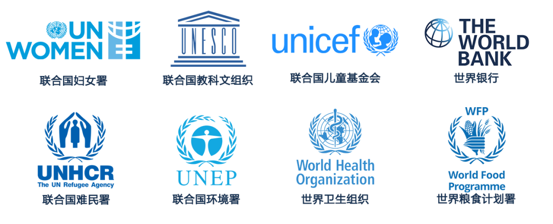 UN Spotlight | 高中生可以参加的联合国国际组织官方项目，人文社科方向