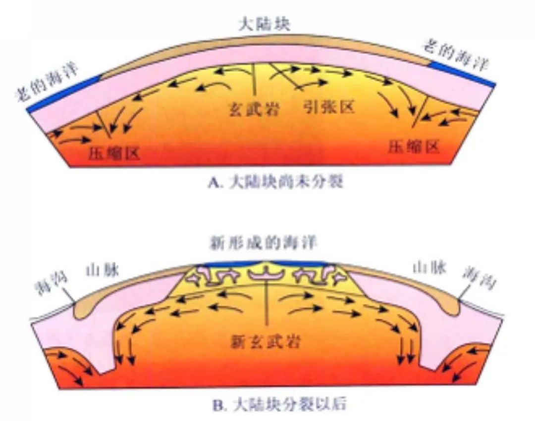 秒变学霸系列｜阅读背景知识真的重要吗？