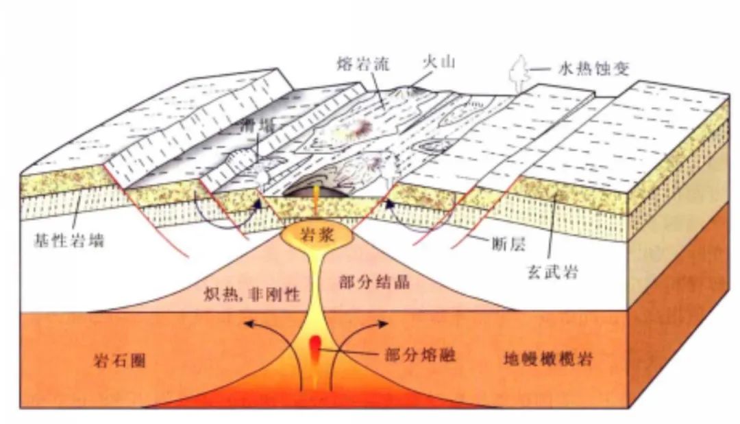 秒变学霸系列｜阅读背景知识真的重要吗？