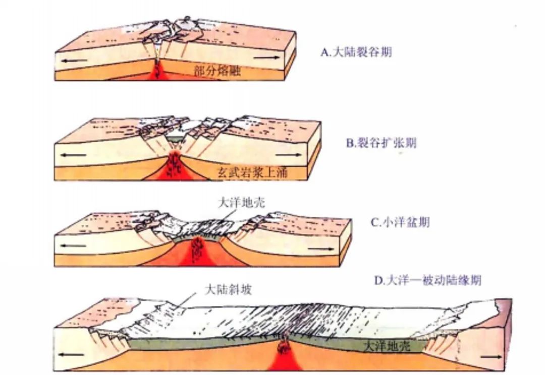 秒变学霸系列｜阅读背景知识真的重要吗？