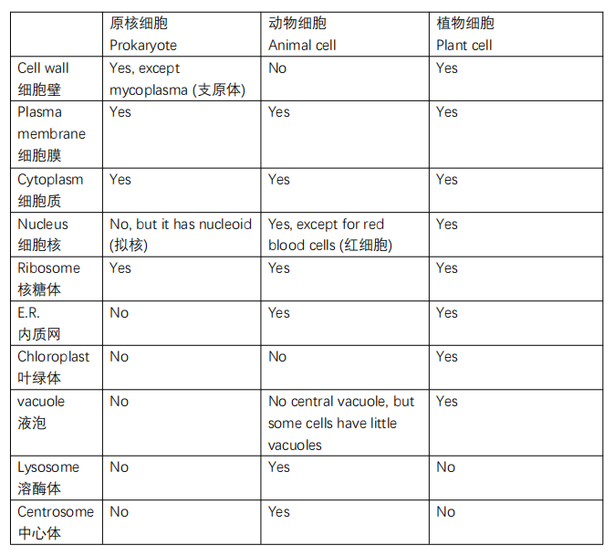 AP生物难拿5分？别怕，考前冲刺指南来了！