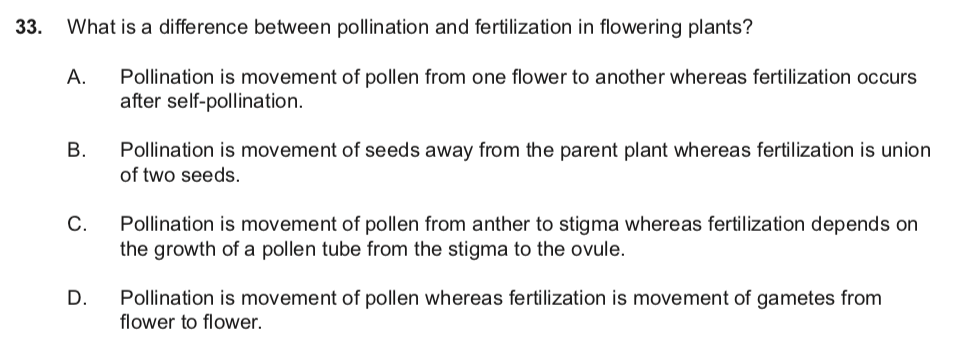 【IB生物】关于植物生长的那些事