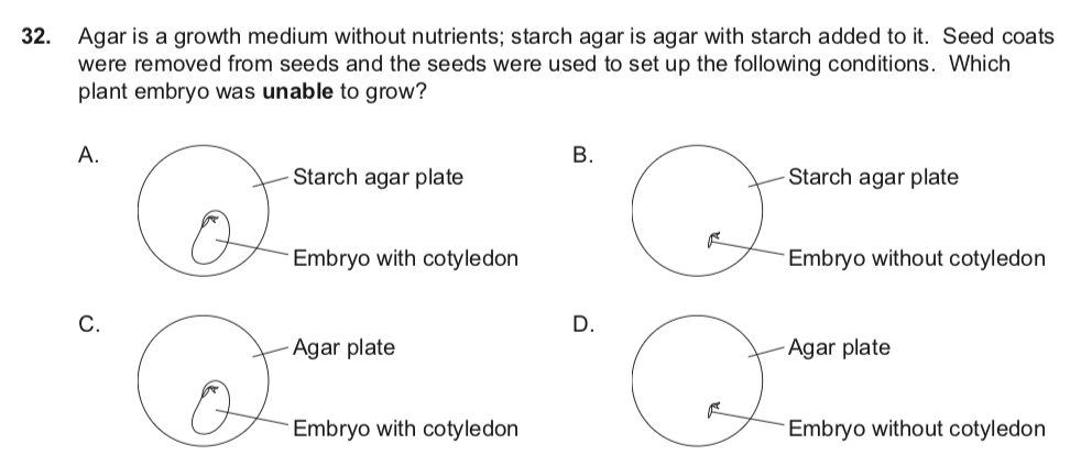 【IB生物】关于植物生长的那些事