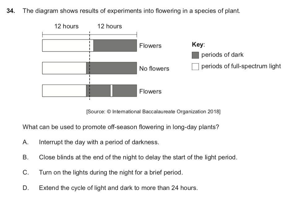 【IB生物】关于植物生长的那些事