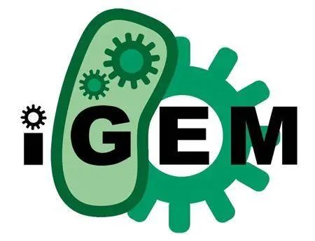 竞赛资讯 | 最有影响力生命科学领域竞赛——iGEM（申请生化、心理学别错过！）