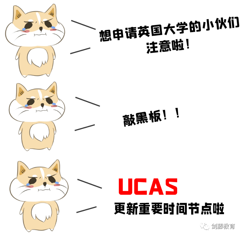 UCAS今日开放本科申请检索，该如何查询有效信息？快收好这份使用攻略