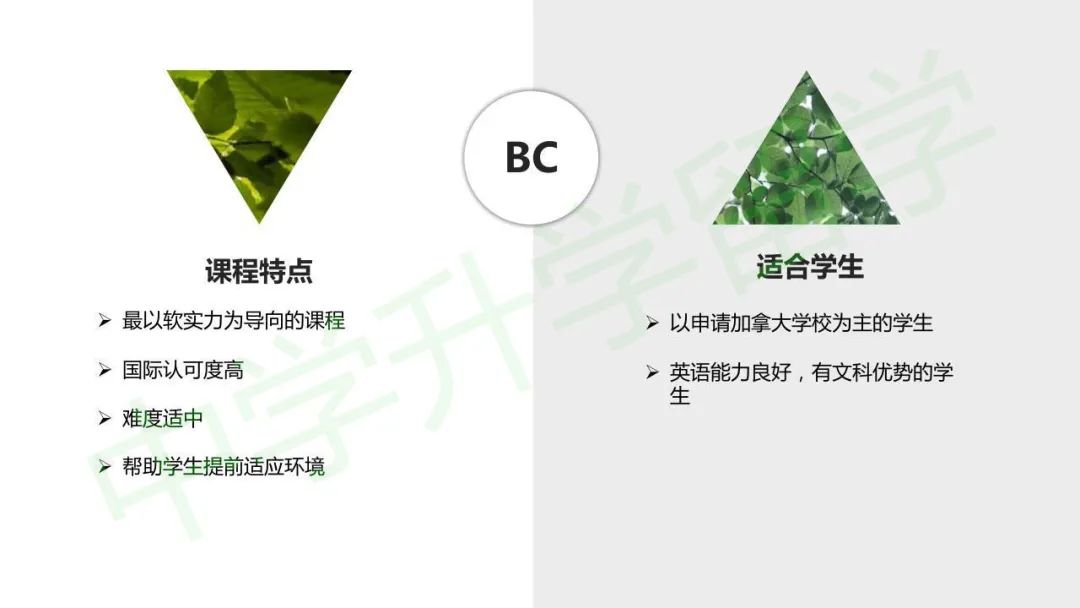 协和教科5月14日将举行线上考试，限额45组！BC课程适合哪些学生？