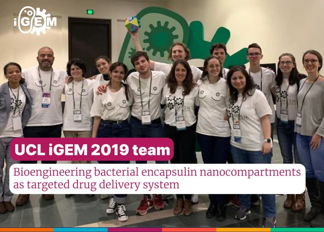 年轻的合成生物学家们｜2020 2019 iGEM 论文集特刊