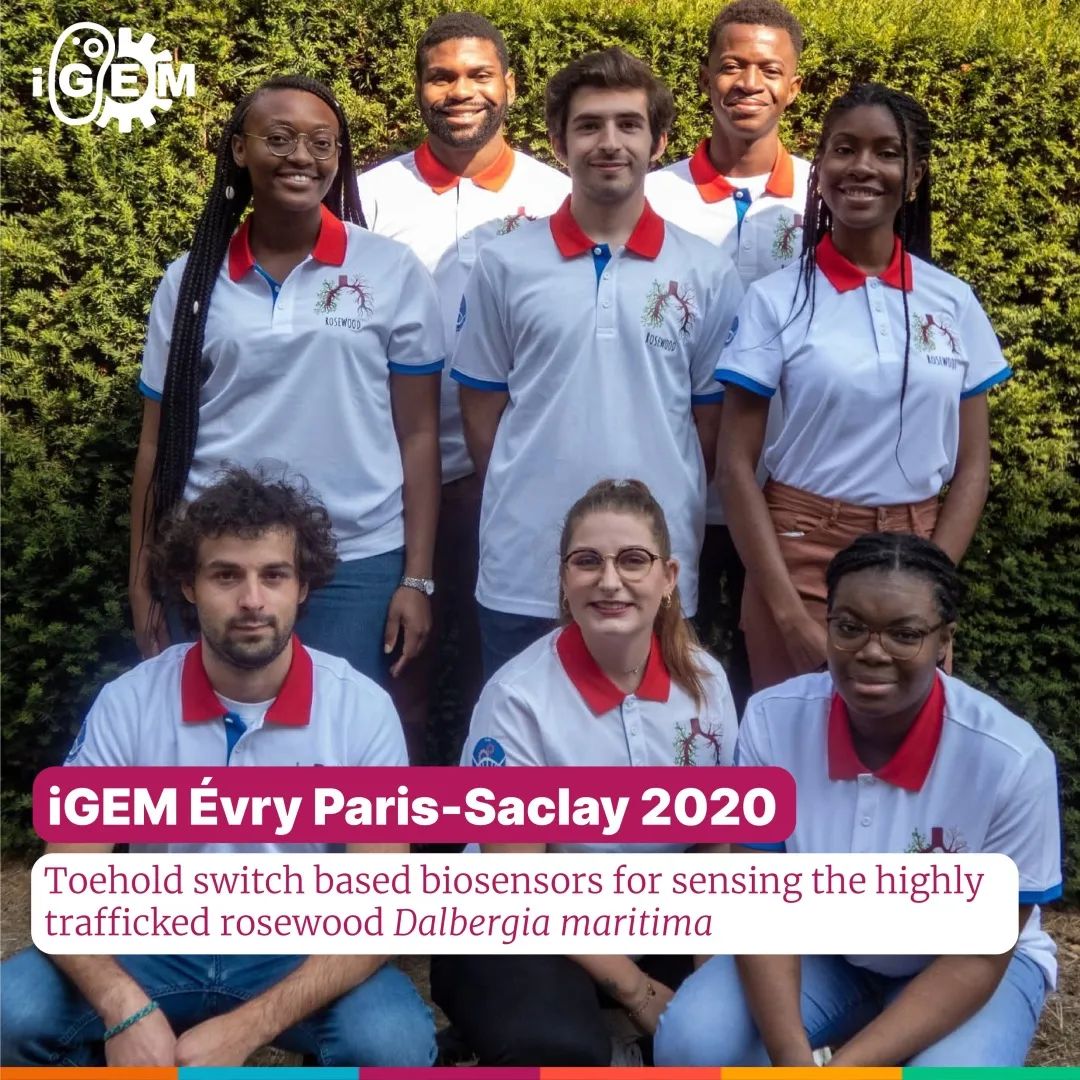 年轻的合成生物学家们｜2020 2019 iGEM 论文集特刊