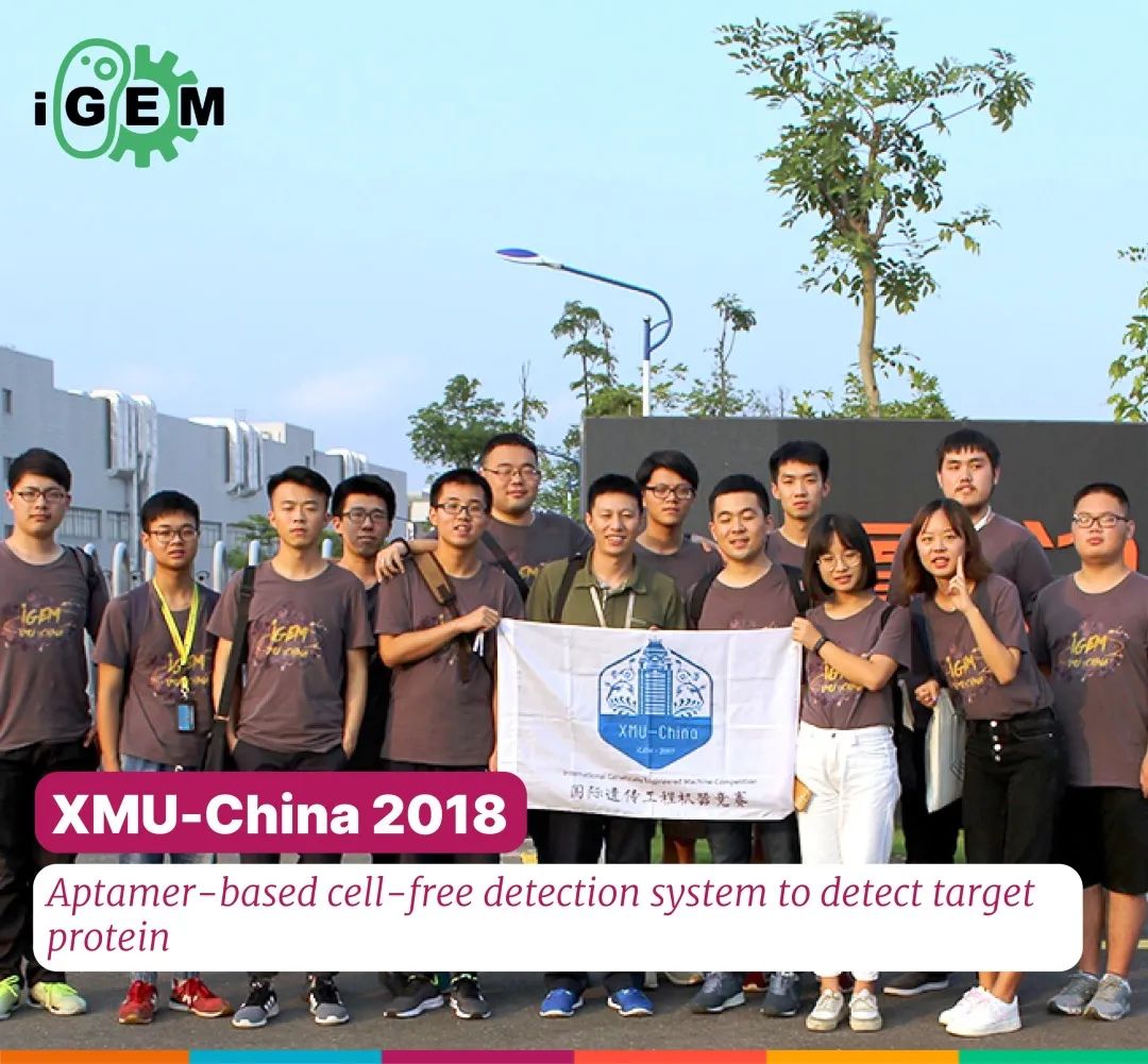 年轻的合成生物学家们｜2020 2019 iGEM 论文集特刊