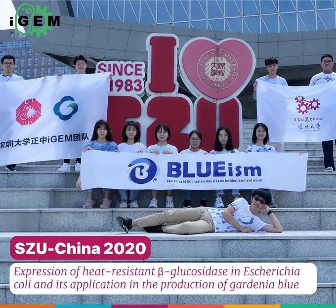 年轻的合成生物学家们｜2020 2019 iGEM 论文集特刊