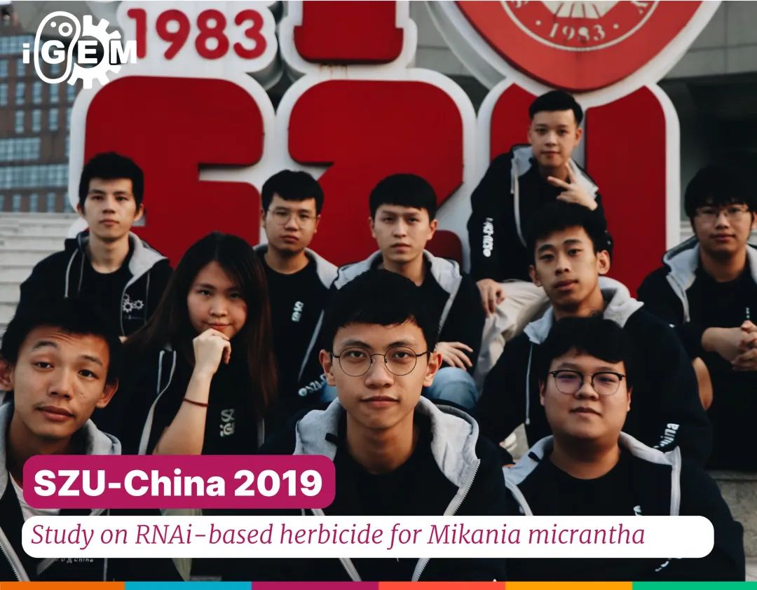 年轻的合成生物学家们｜2020 2019 iGEM 论文集特刊