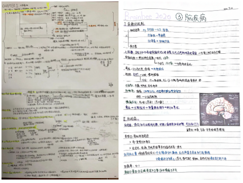 上海宝山世外学校脑科学教育探索纪实