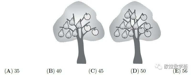 袋鼠数学竞赛题选（七）