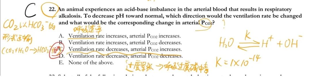 3个月冲刺USABO+BBO双料奖项！努力+策略缺一不可！