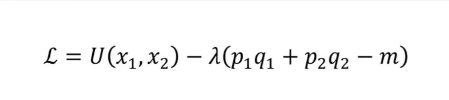 LSE学姐的硬核学科介绍：为什么申请经济要数学好？