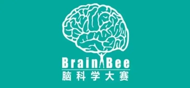 Brainbee脑科学大赛培训课程哪里有？机构brain bee课程7月27日开课！5-12年级学生都可参赛！