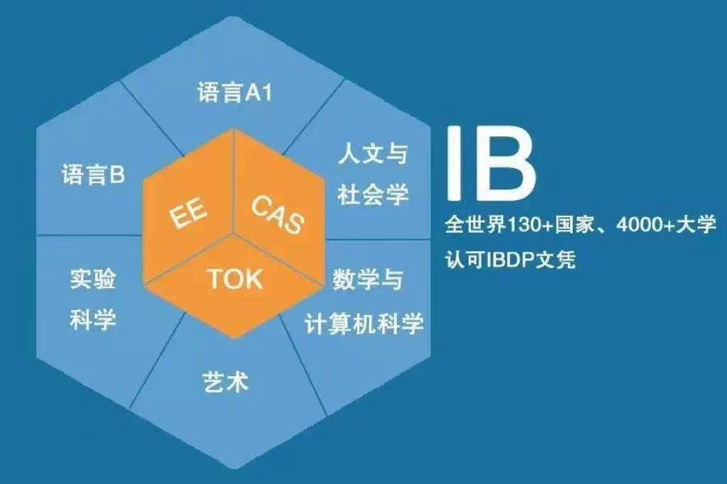 四大国际课程体系大起底！AP、IB、A-Level、OSSD到底该怎么选？