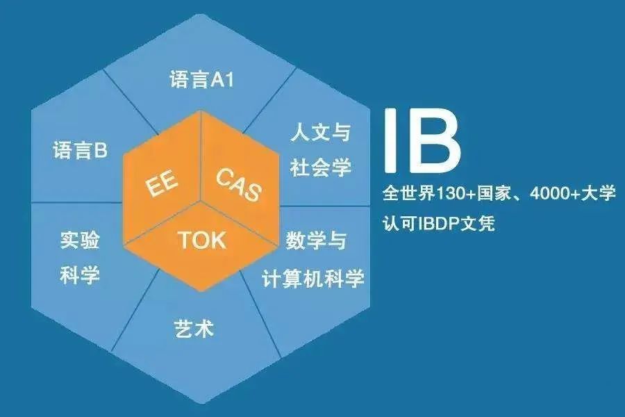 IB学生在吗？都是写论文，IA、EE、TOK究竟有什么区别？