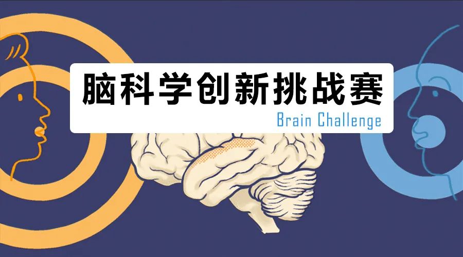 2022年脑科学创新挑战赛（Brain Challenge）获奖名单