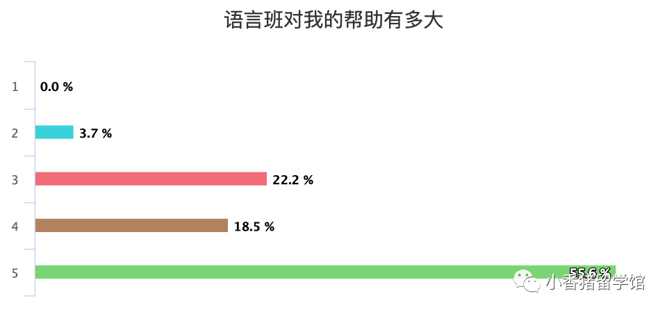 猪家调查|语言班的真实体验是啥样的