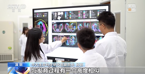 全球首个脑再生时空图谱研究成果登上《科学》封面：脑再生或成为现实！