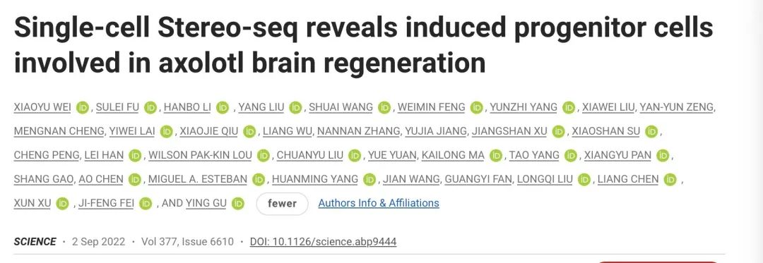 全球首个脑再生时空图谱研究成果登上《科学》封面：脑再生或成为现实！