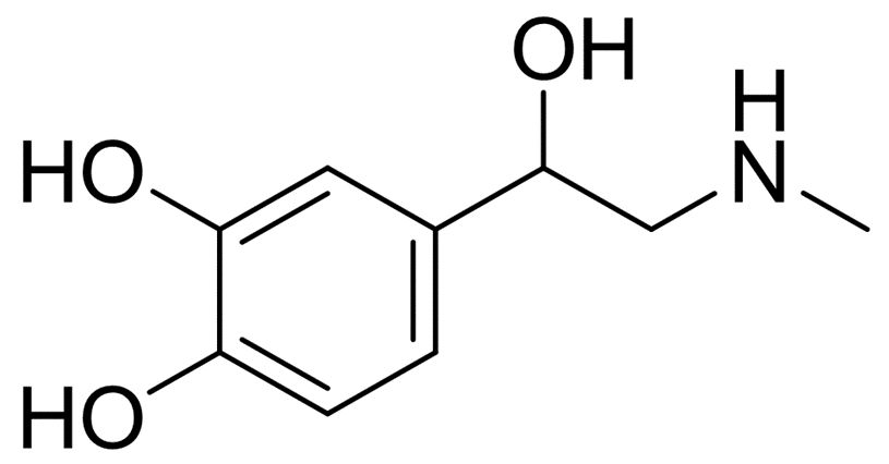 开学了，脑科学教你如何有效应对压力