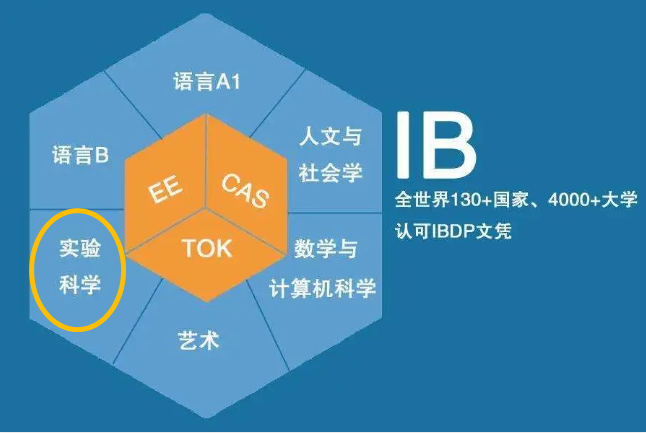 IB化学考纲更新！SL和HL哪个是最佳选择？参考MIT哈佛剑桥的基本要求