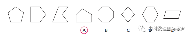 英国中小学入学考试之CAT4