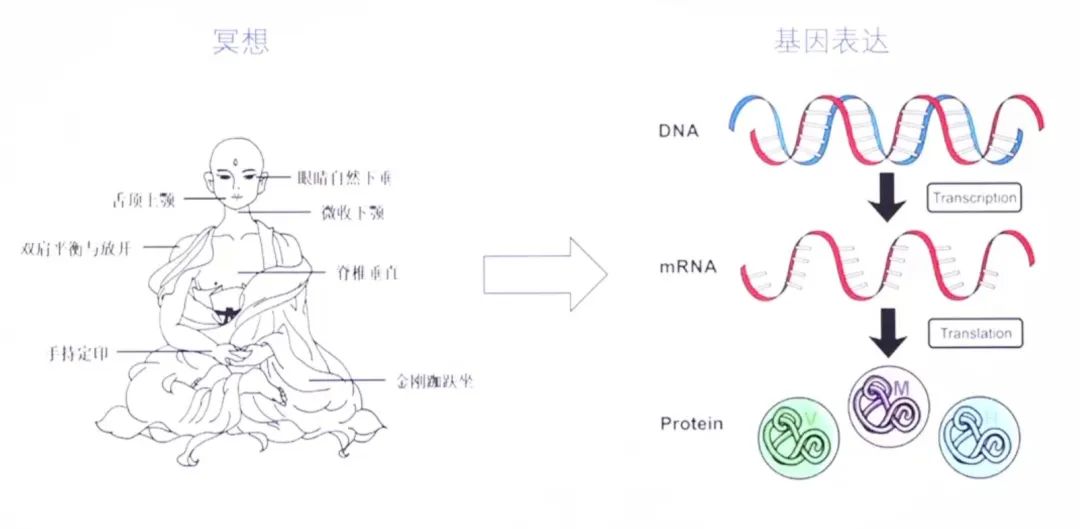 世界精神卫生日｜营造良好环境 共助心理健康