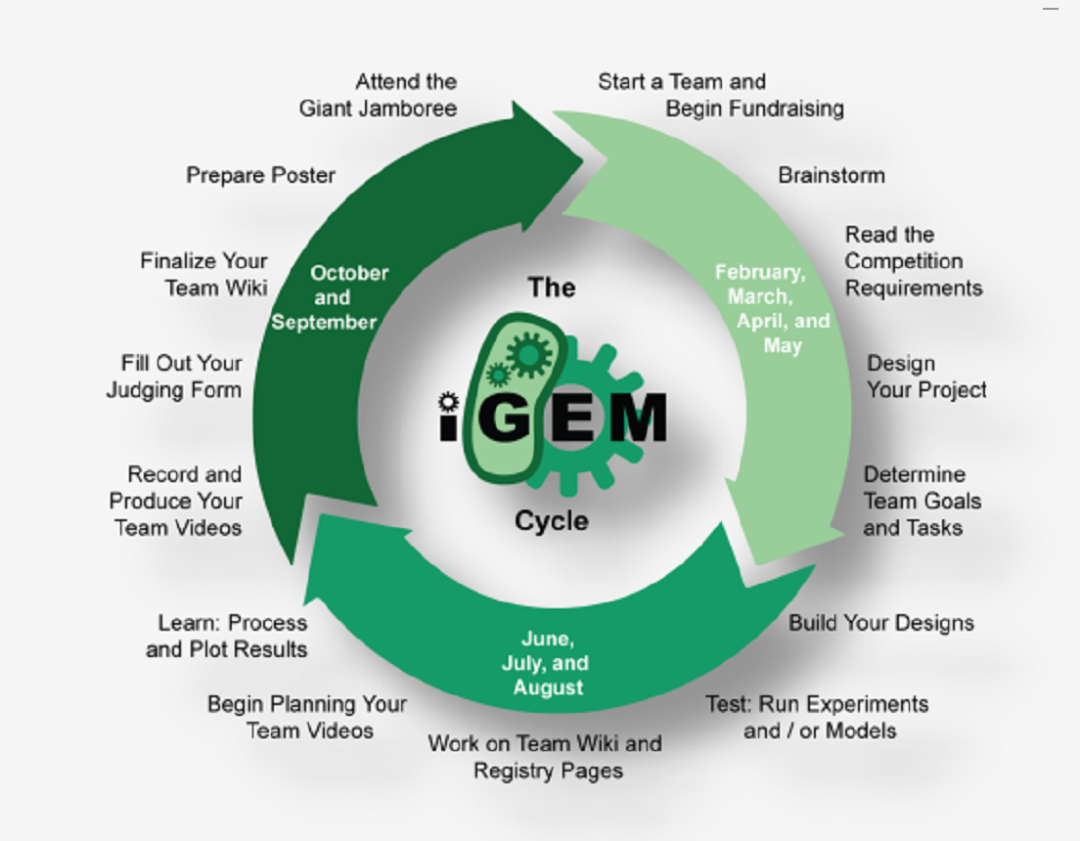 iGEM国际遗传工程机器挑战2023赛季重磅启动， STEM挑战天花板，邀你来战！