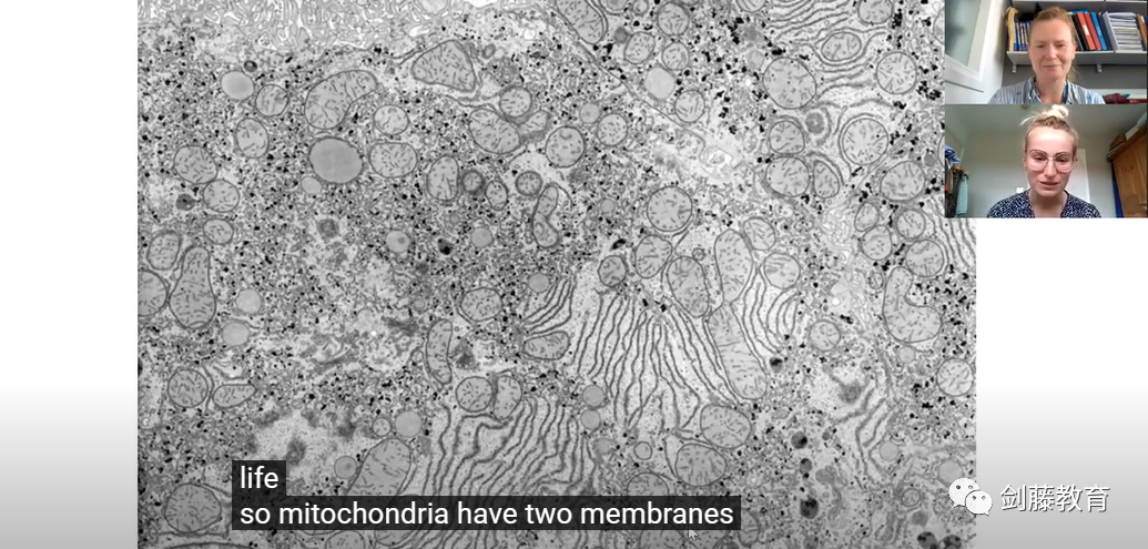 牛津剑桥生物与生化相关专业面试都在问什么？火速围观大学公布的面试案例及思路