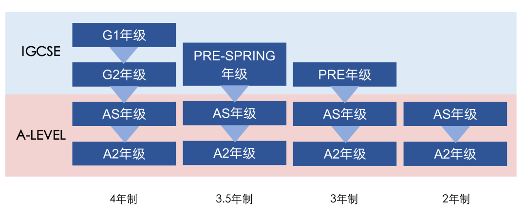 择校｜领科入学考试写作大揭秘！你学到了吗？