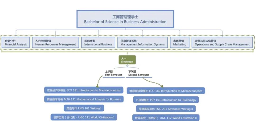 专业解读｜想读商业分析，你需要哪些背景和技能？