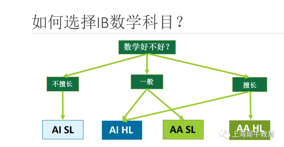 IB数学选科指导|IB数学各科之间有什么区别？该怎么选？