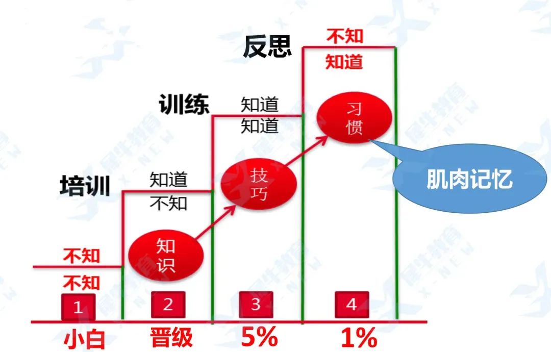 AMC规划解读：考完AMC8后，多久该进入AMC10备战状态？