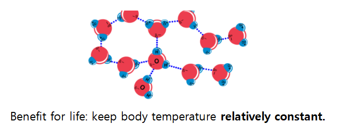 开学第一课，爱德思生物学什么