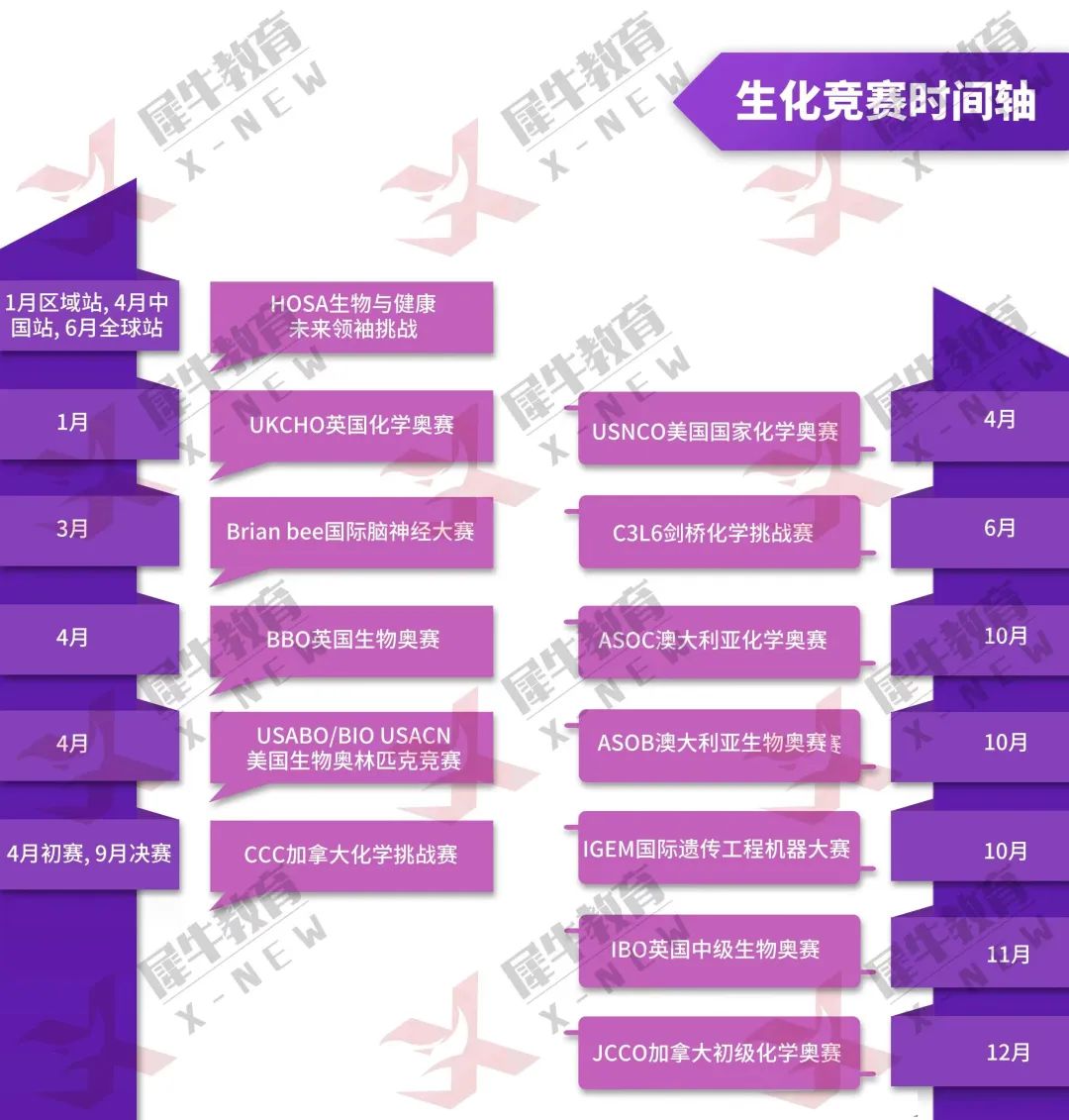 继牛剑后UCL大规模放榜了？伦敦大学学院录取者“学术背景”大揭秘！