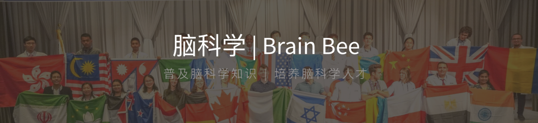 从入门到金牌，学霸同款「理科竞赛必看书单」揭秘！