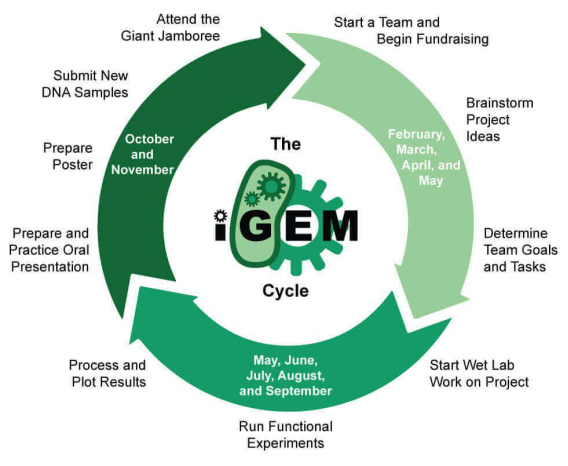 2023国际遗传工程机器大赛（iGEM）启动，组队报名进行中！