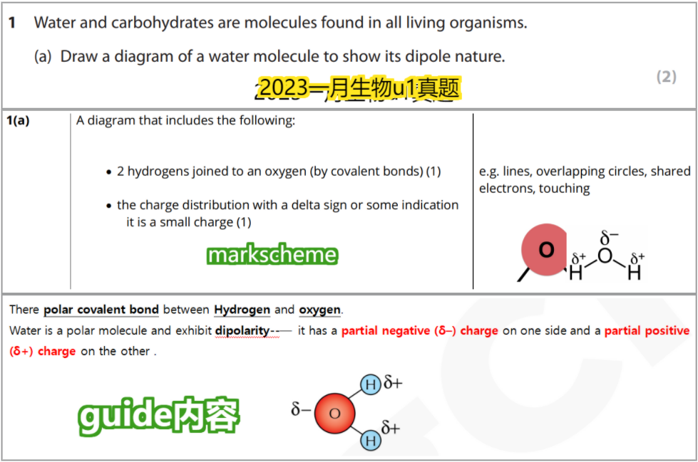 今年生物Revision Guide都“命中”了哪些题？