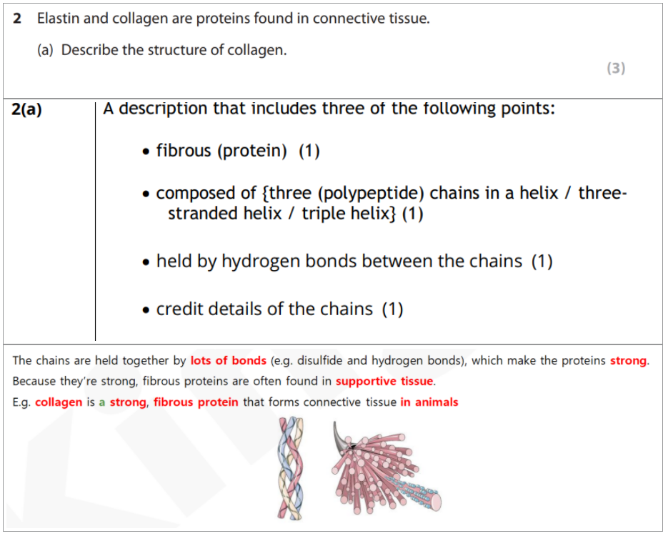 今年生物Revision Guide都“命中”了哪些题？