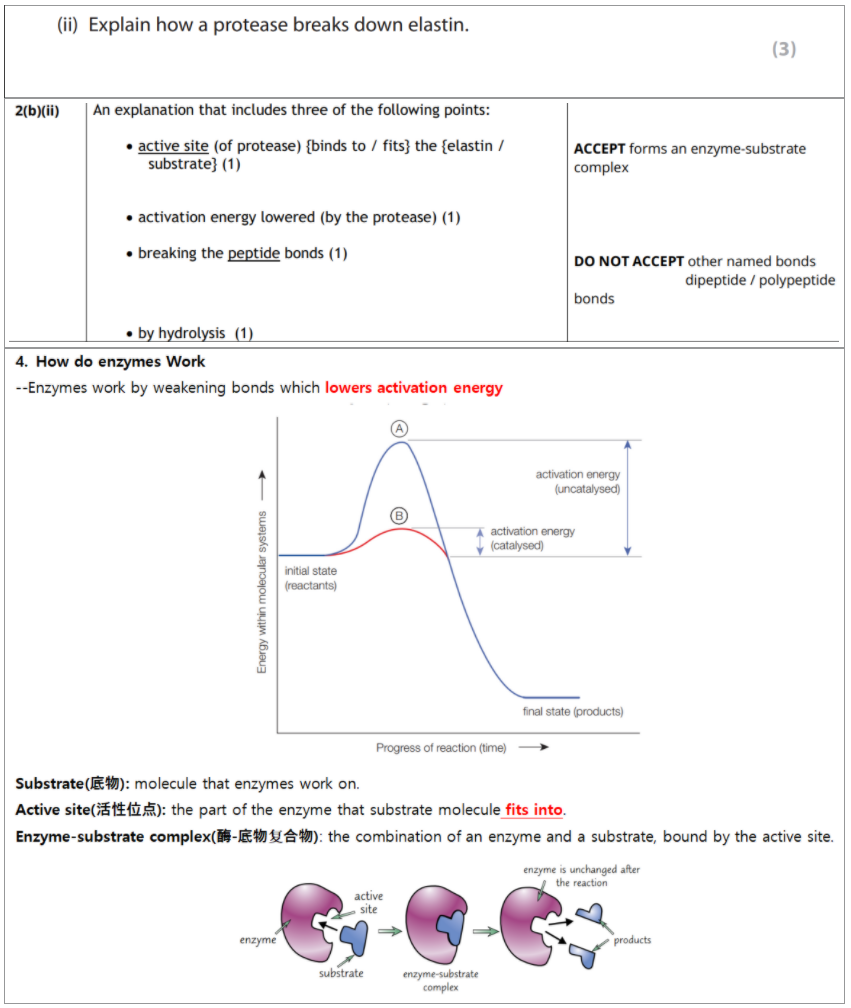 今年生物Revision Guide都“命中”了哪些题？