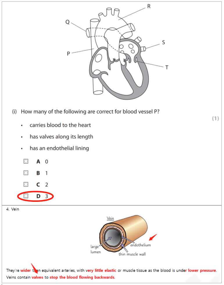 今年生物Revision Guide都“命中”了哪些题？